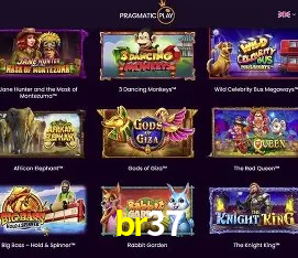 Interface Premium br37