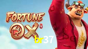 Premium Interface br37